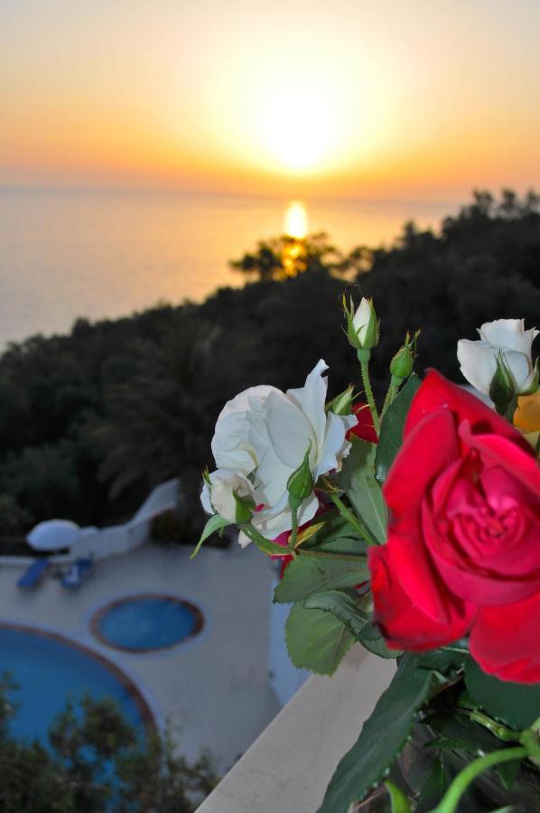 Holiday Apartments Maria With Pool And Panorama View - Agios Gordios Beach Luaran gambar